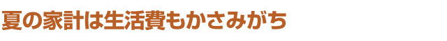 夏の家計は生活費もかさみがち