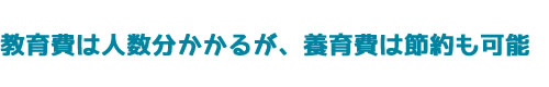 教育費は人数分かかるが、養育費は節約も可能